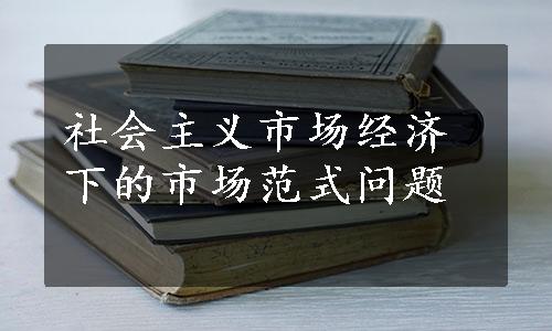 社会主义市场经济下的市场范式问题