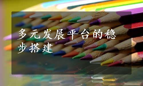 多元发展平台的稳步搭建