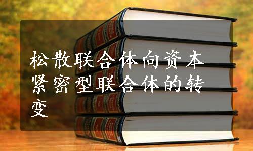 松散联合体向资本紧密型联合体的转变