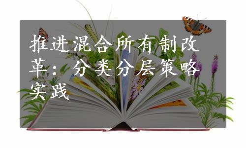 推进混合所有制改革：分类分层策略实践