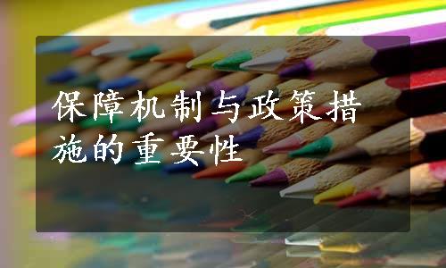 保障机制与政策措施的重要性