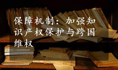 保障机制：加强知识产权保护与跨国维权