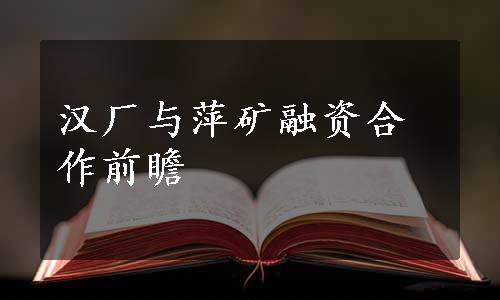 汉厂与萍矿融资合作前瞻