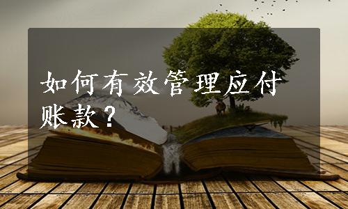 如何有效管理应付账款？