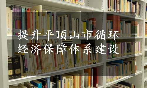 提升平顶山市循环经济保障体系建设