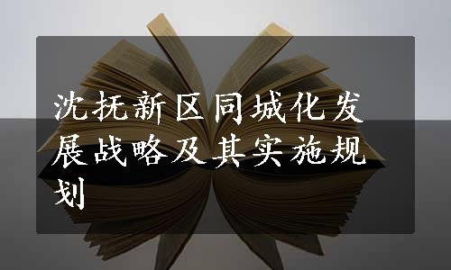 沈抚新区同城化发展战略及其实施规划