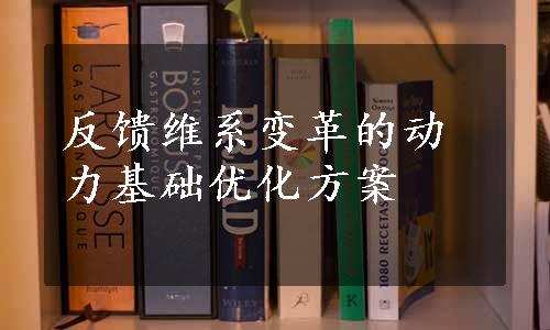 反馈维系变革的动力基础优化方案