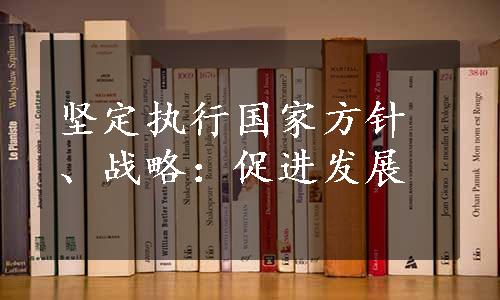 坚定执行国家方针、战略：促进发展