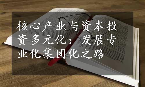 核心产业与资本投资多元化：发展专业化集团化之路