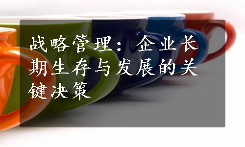 战略管理：企业长期生存与发展的关键决策