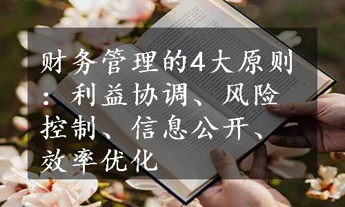 财务管理的4大原则：利益协调、风险控制、信息公开、效率优化