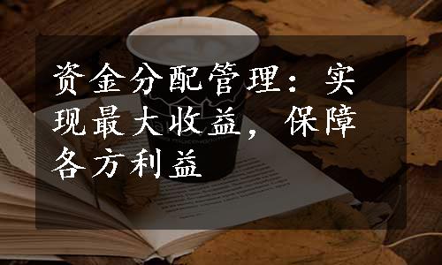 资金分配管理：实现最大收益，保障各方利益