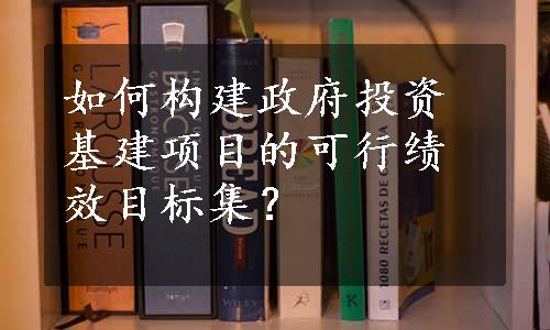 如何构建政府投资基建项目的可行绩效目标集？