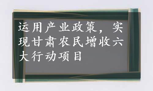 运用产业政策，实现甘肃农民增收六大行动项目