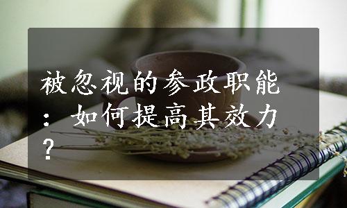 被忽视的参政职能：如何提高其效力？