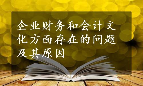 企业财务和会计文化方面存在的问题及其原因