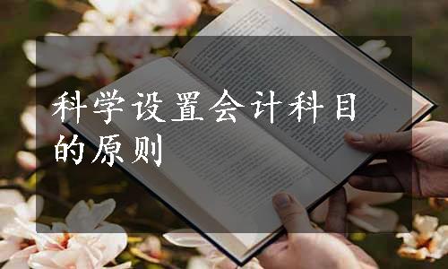 科学设置会计科目的原则