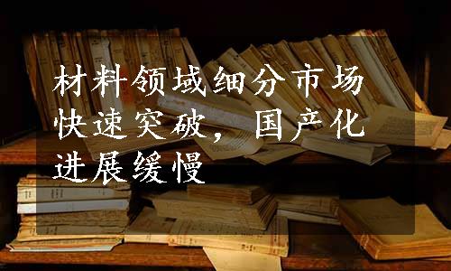 材料领域细分市场快速突破，国产化进展缓慢