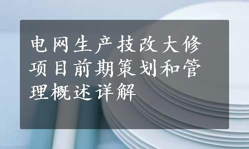 电网生产技改大修项目前期策划和管理概述详解