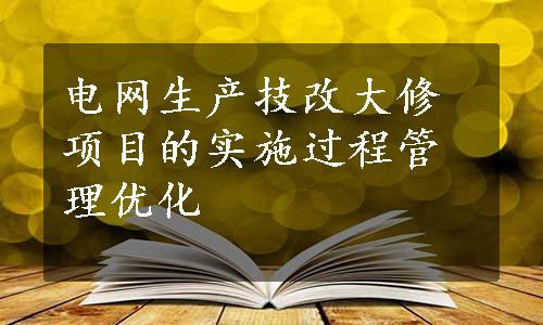 电网生产技改大修项目的实施过程管理优化