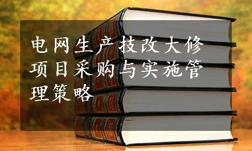 电网生产技改大修项目采购与实施管理策略