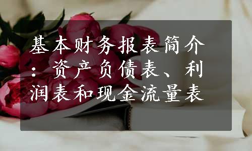 基本财务报表简介：资产负债表、利润表和现金流量表