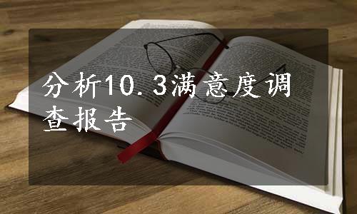 分析10.3满意度调查报告