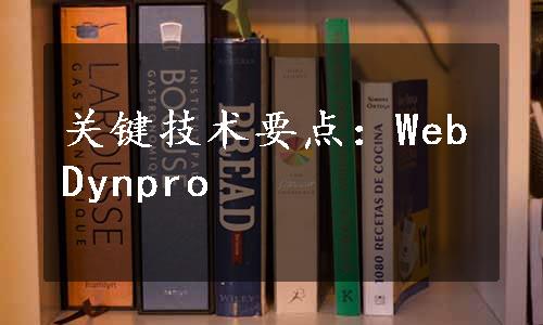 关键技术要点：WebDynpro