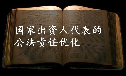 国家出资人代表的公法责任优化