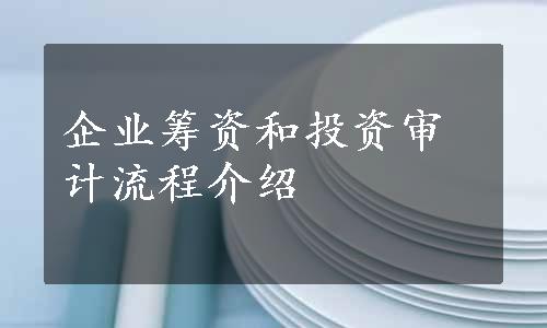 企业筹资和投资审计流程介绍