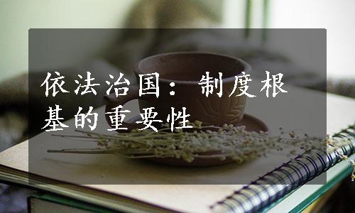 依法治国：制度根基的重要性