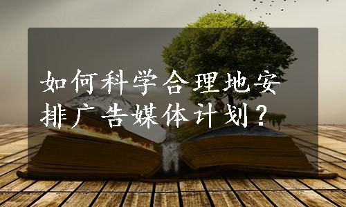 如何科学合理地安排广告媒体计划？