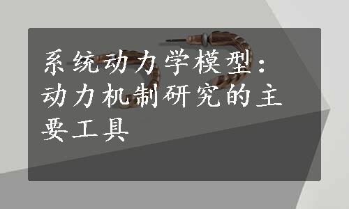 系统动力学模型：动力机制研究的主要工具