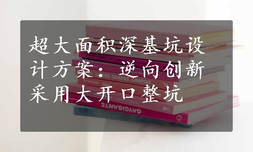 超大面积深基坑设计方案：逆向创新采用大开口整坑