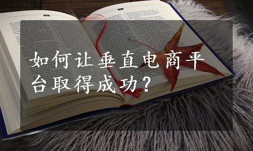 如何让垂直电商平台取得成功？