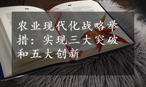 农业现代化战略举措：实现三大突破和五大创新