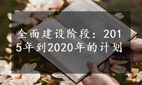 全面建设阶段：2015年到2020年的计划