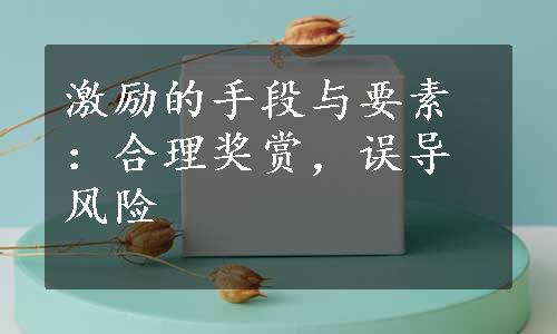 激励的手段与要素：合理奖赏，误导风险