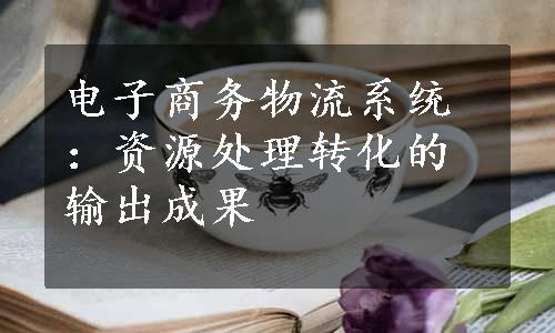 电子商务物流系统：资源处理转化的输出成果