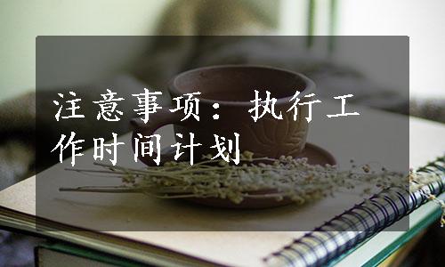 注意事项：执行工作时间计划