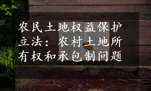 农民土地权益保护立法：农村土地所有权和承包制问题