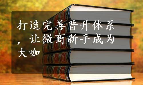 打造完善晋升体系，让微商新手成为大咖