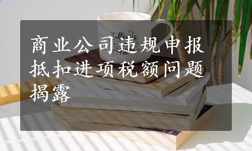 商业公司违规申报抵扣进项税额问题揭露