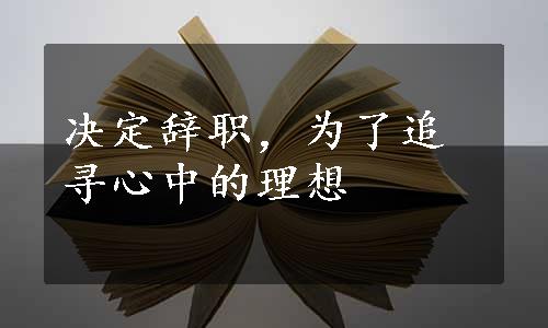 决定辞职，为了追寻心中的理想