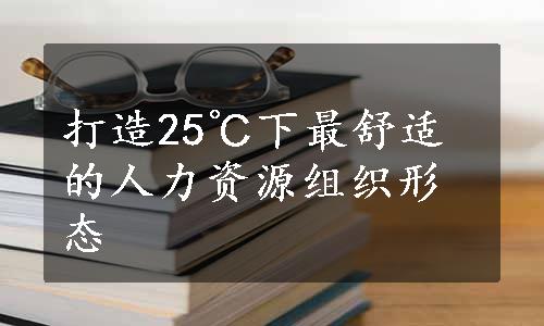 打造25℃下最舒适的人力资源组织形态