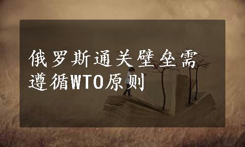 俄罗斯通关壁垒需遵循WTO原则