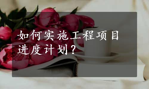 如何实施工程项目进度计划？