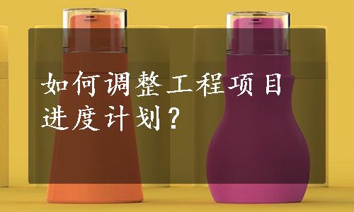 如何调整工程项目进度计划？