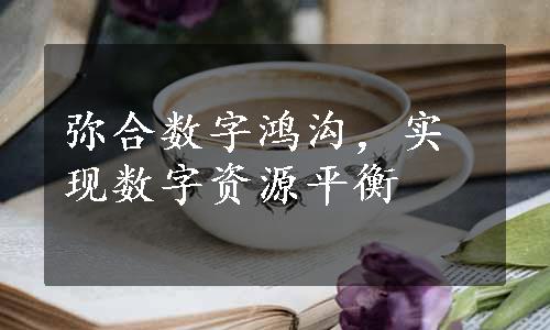 弥合数字鸿沟，实现数字资源平衡