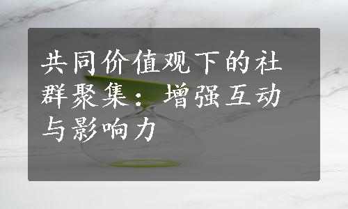 共同价值观下的社群聚集：增强互动与影响力